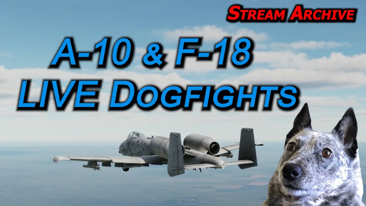 LOUD DOMINANCE - Real Pilot Plays DCS World