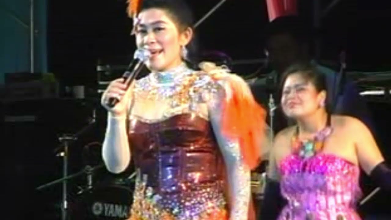 ลูกสาม เมียสอง - บุษบา ล้านนา