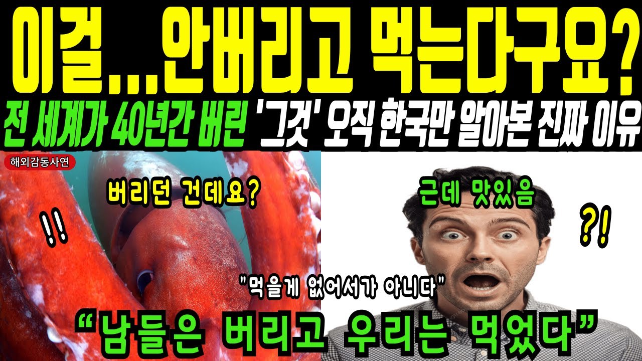 [해외감동사연] 미국 전문가가 30년 믿음을 버린 날, 