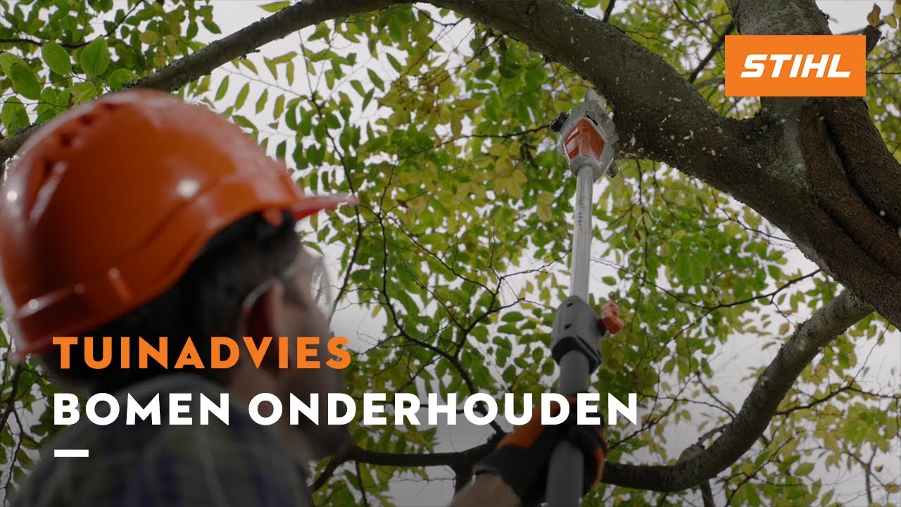 Bomen onderhouden - STIHL Tuinadvies