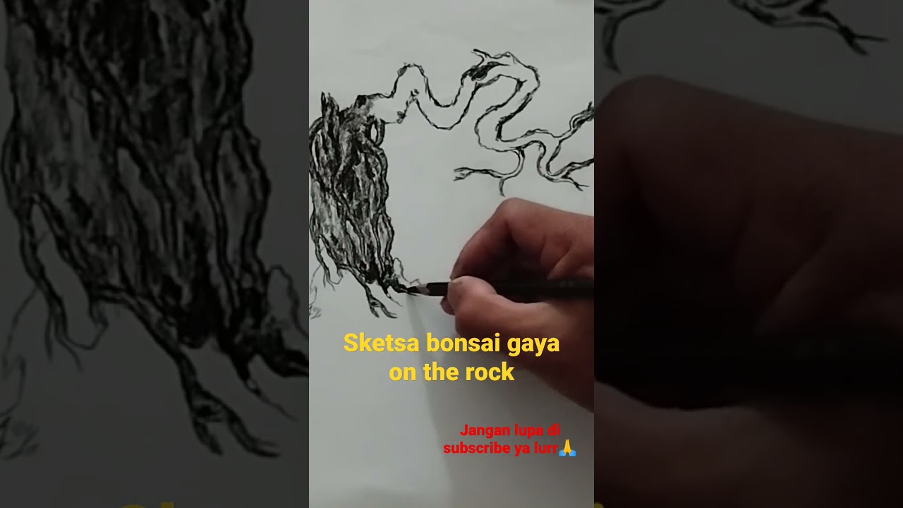 SKETSA BONSAI ON THE ROCK
