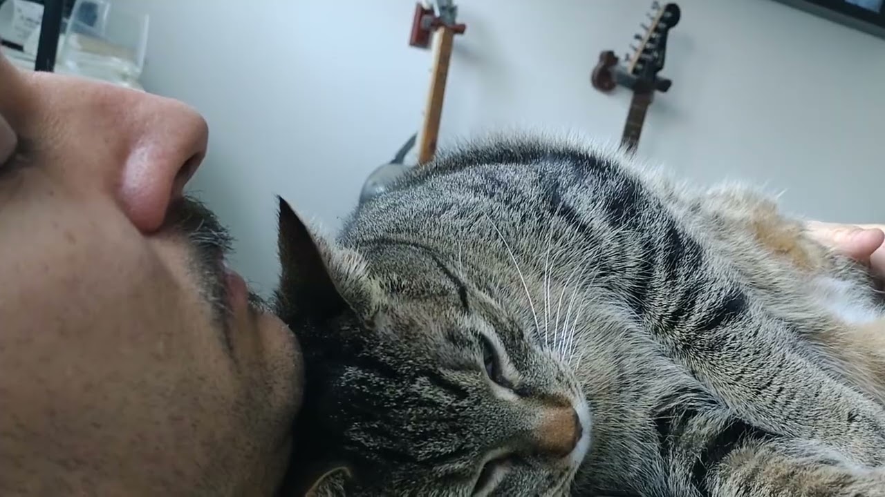 Afftction snuggle