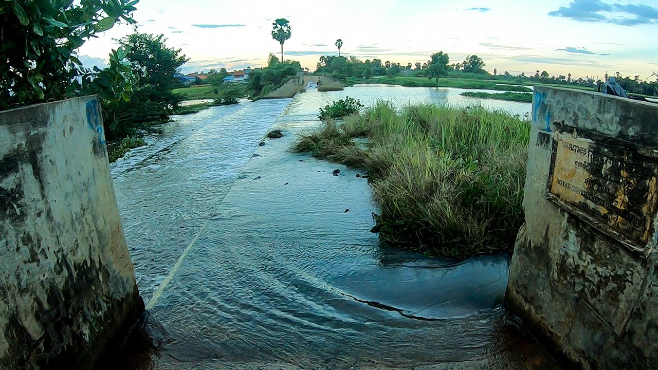 Remove Floating Plants Clogged Massive Dam Drain Water