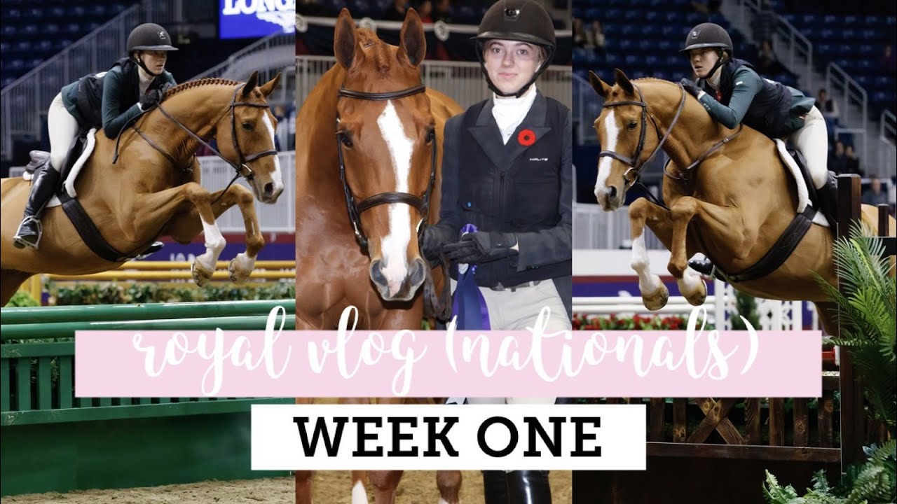 the royal winter fair show vlog! (vlog #102)