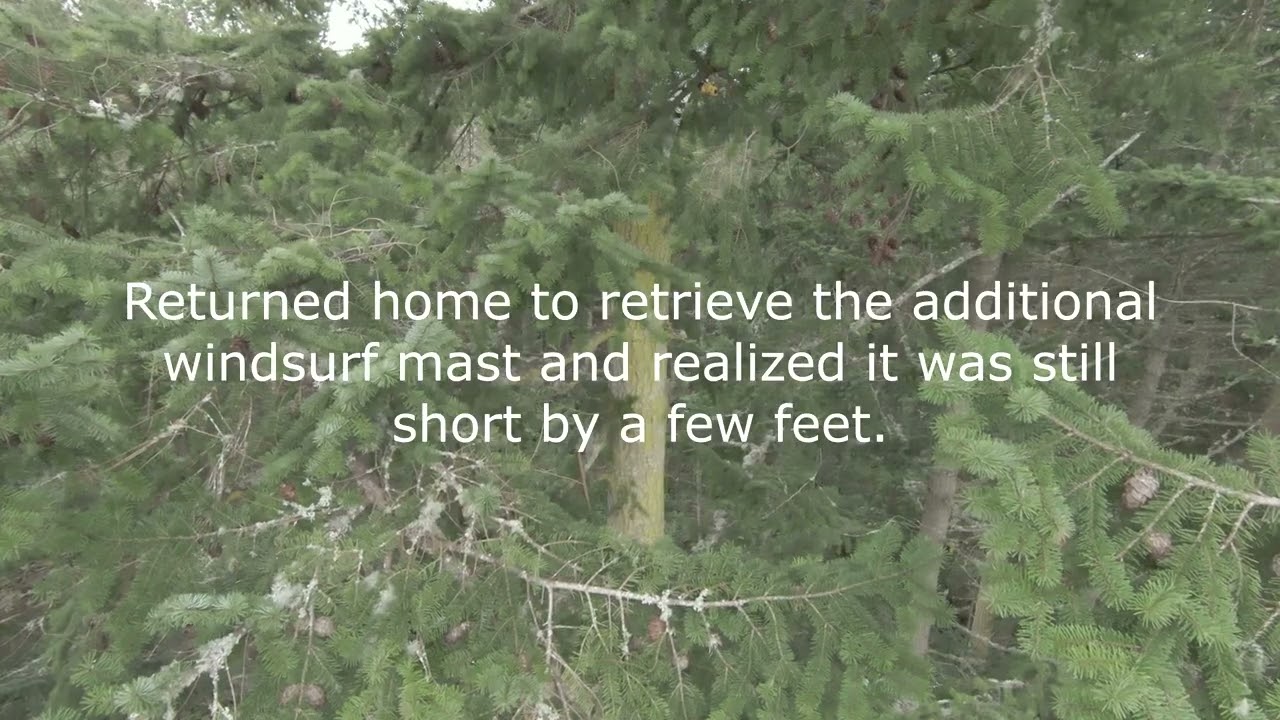 Gave it one heck of an attempt to free a treed airplane