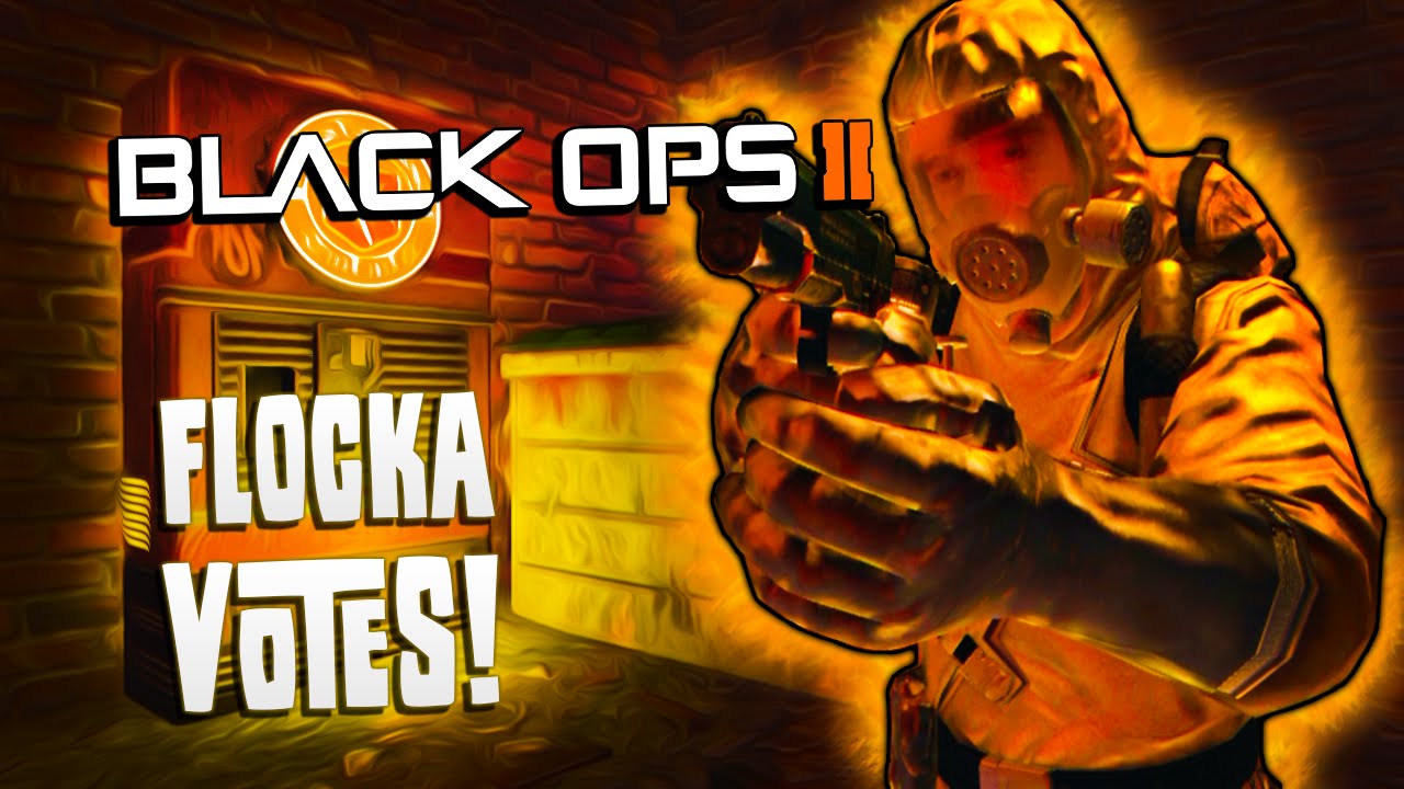 Flocka Votes! - BO2 - Flock Argues Why This Guy Was Too Lazy To Vote!