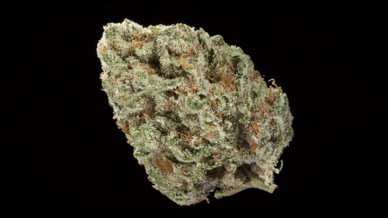 2015 HIGH TIMES SoCal Medical Cannabis Cup: Indica Entries