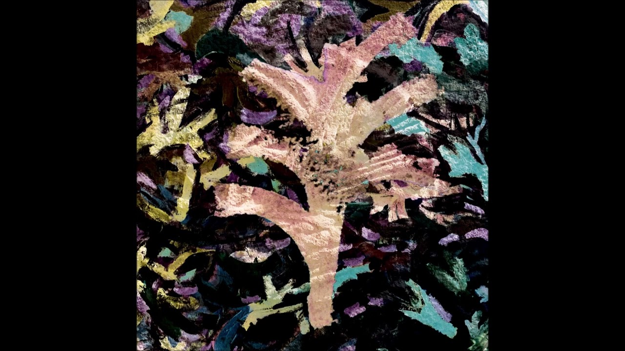 GENOASEJLET - Et Stjernebillede Over Det Globale Nord [2022 / Full Album]