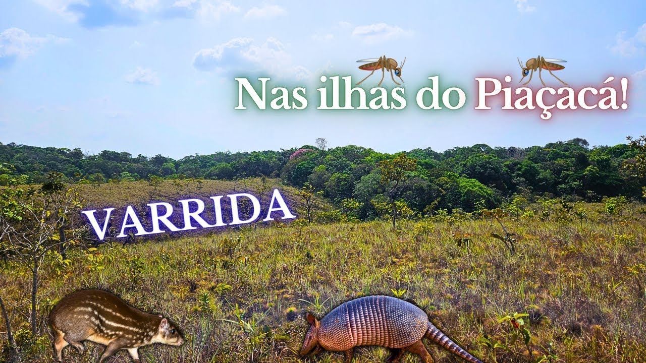 Varrida nas Ilhas do Pia&ccedil;ac&aacute;!