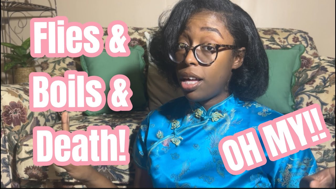 Bible Stories: Egyptian Plagues Part2