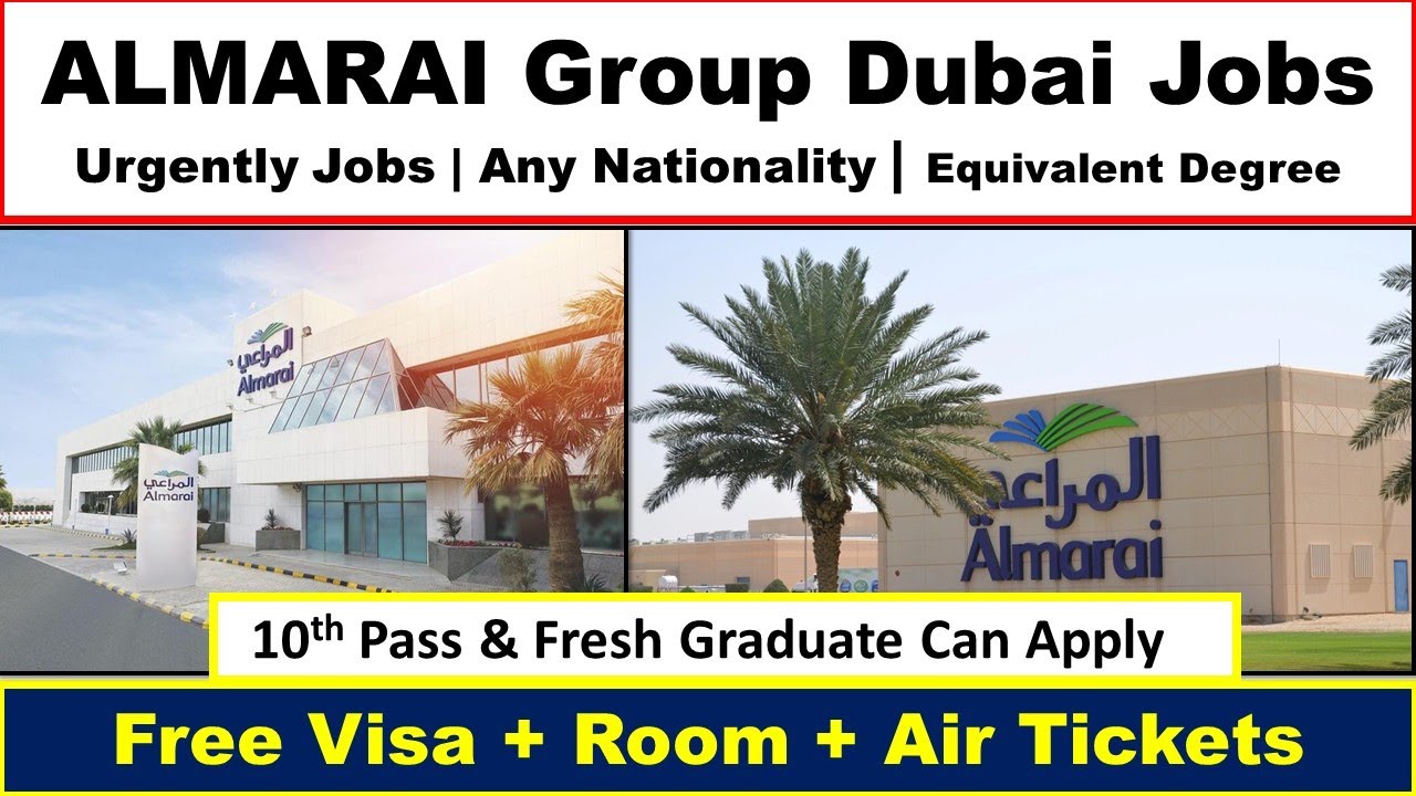 Almarai Company Jobs In Dubai With Free Visa For Fresh Graduate Also | Dubai Almarai Jobs