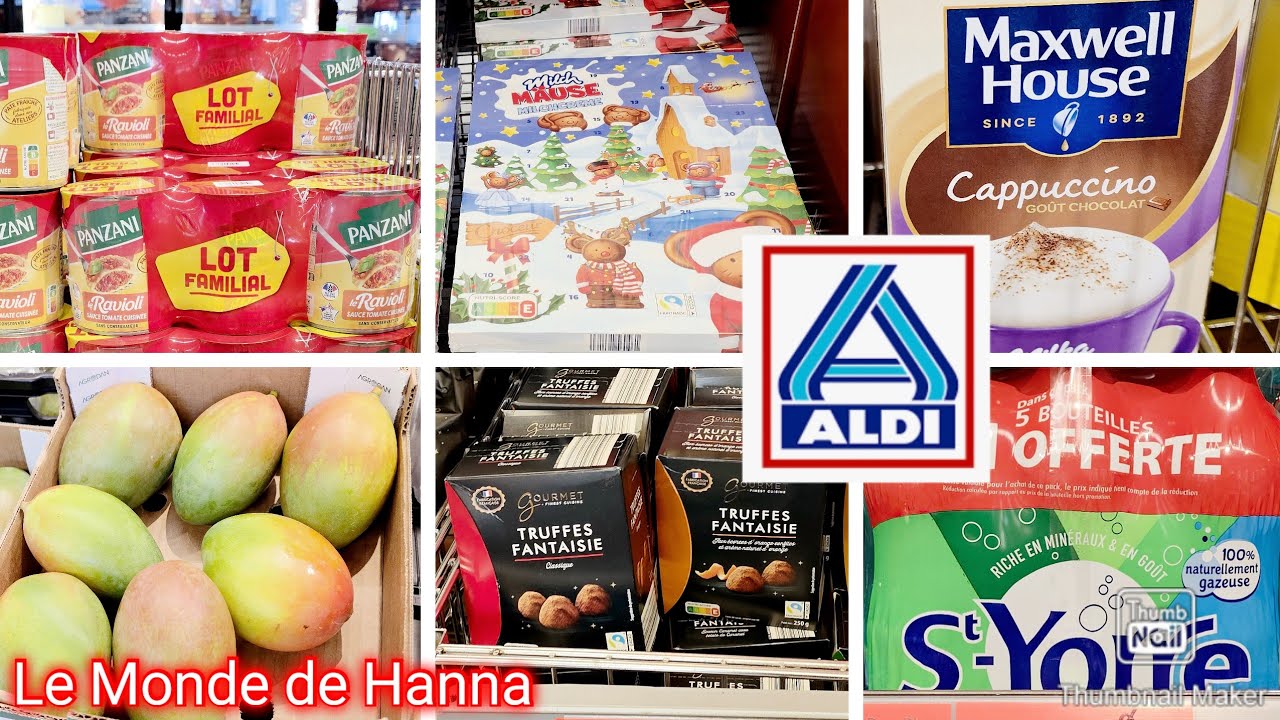 ALDI FRANCE ARRIVAGE 08-11 BONS PLANS PROMOS 