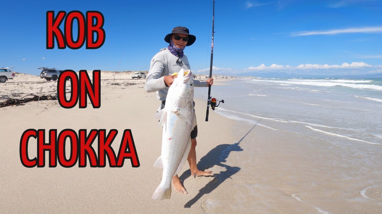 10kg kob on chokka