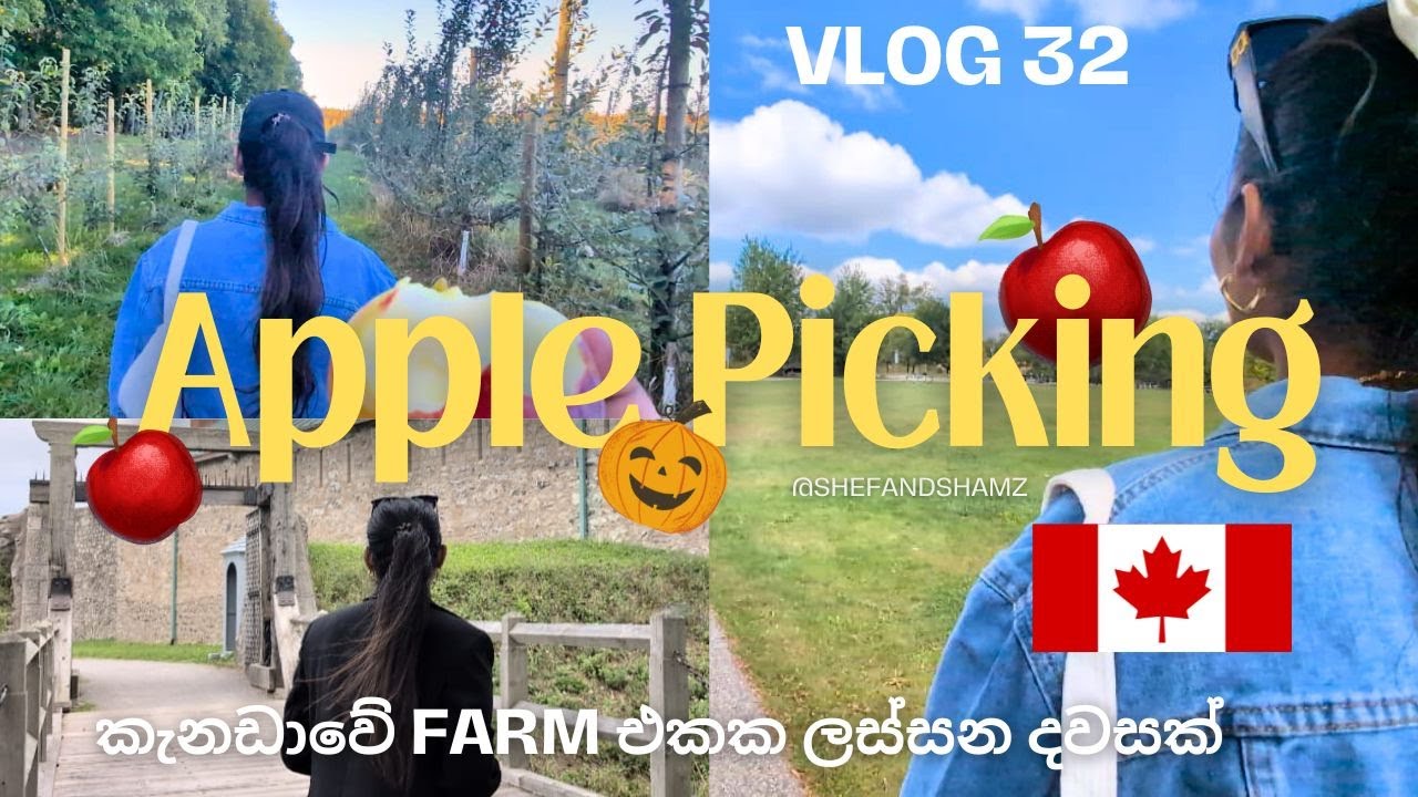 කැනඩාවේ Apple picking යමු| අපි එක්ක Toronto වල Farm එකකට යමු 🍎🍎🇨🇦🇨🇦 #canadasinhalavlogs