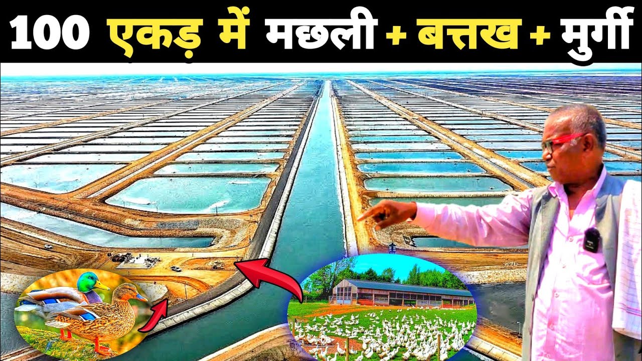 कमाई जानकर माथा पकड़ लेंगे | बिहार का सबसे बड़ा इंटीग्रेटेड फार्म | Duck farming +  Fish farming