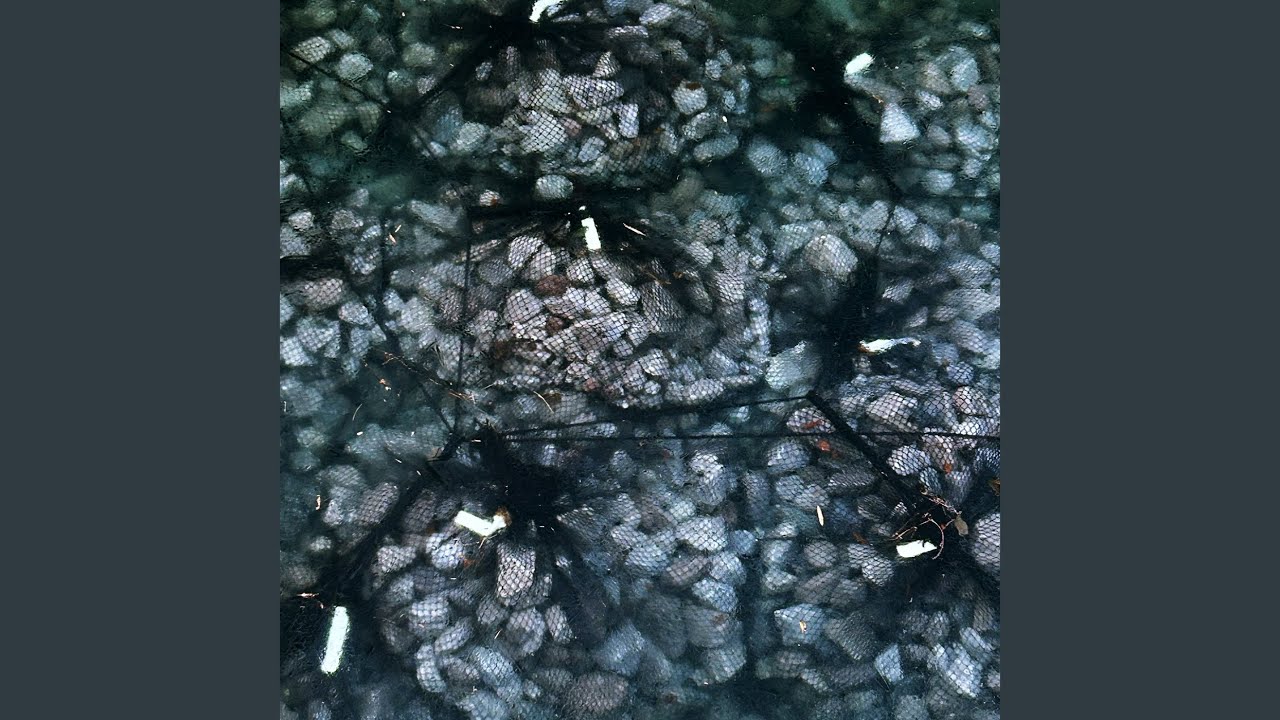 SedimentⅢ