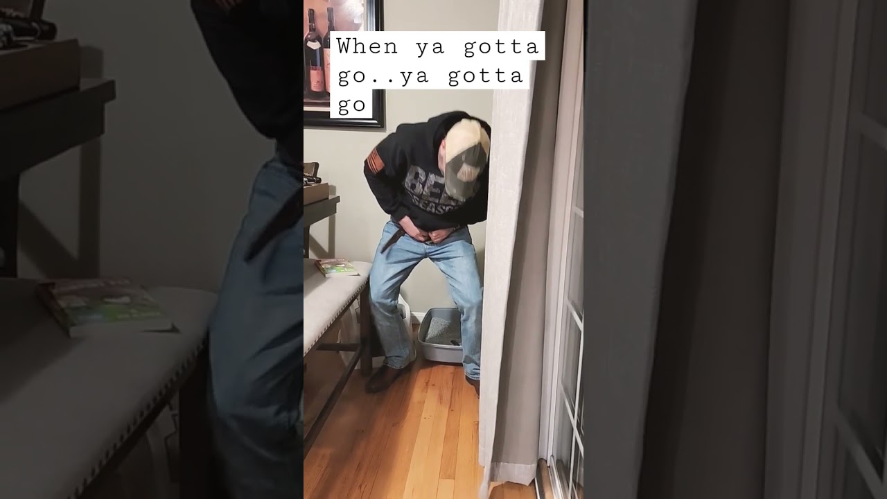 #pranks #poop prank # cats # litterbox # shorts
