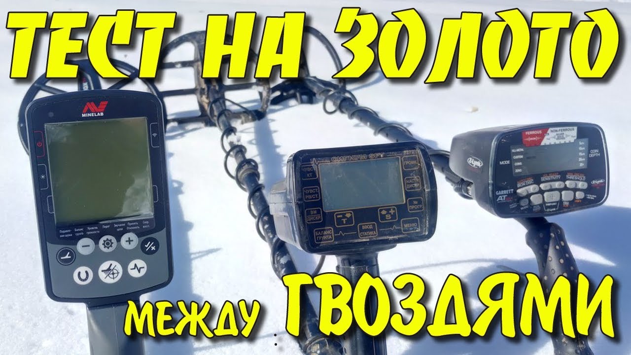 ЗОЛОТО МЕЖДУ ГВОЗДЕЙ! Minelab Equinox vs Garrett AT MAX vs АКА Сигнум