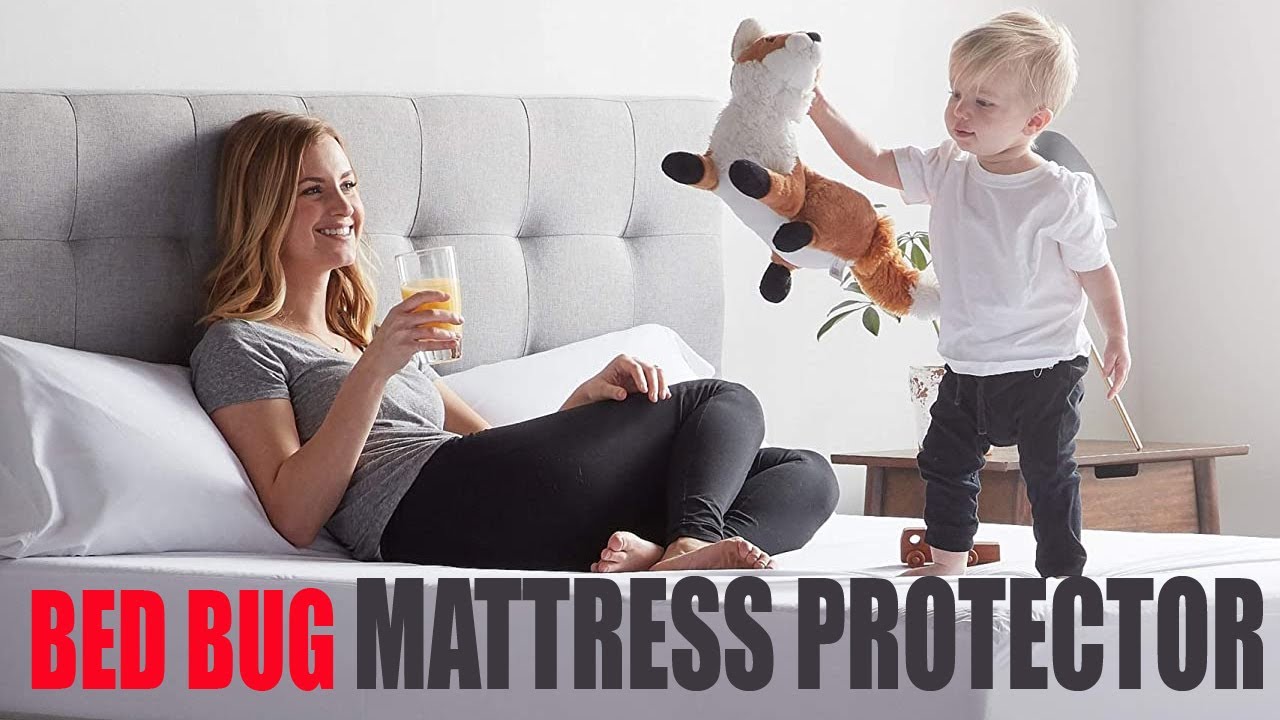 ✅ 5 Best Bed Bug Mattress Protectors 2022 (❤❤) A Healthy Night's Sleep 💦