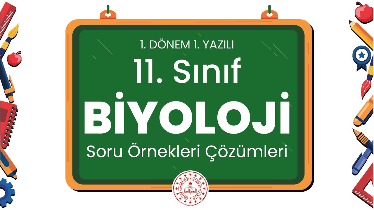 11. Sınıf Biyoloji 1. Dönem 1. Yazılı Soru Örnekleri Çözümleri