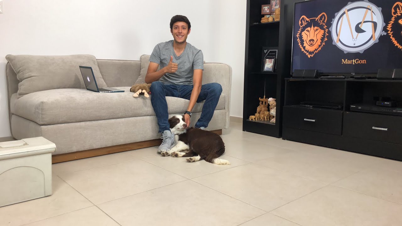 Educando un perro EN VIVO 🔴