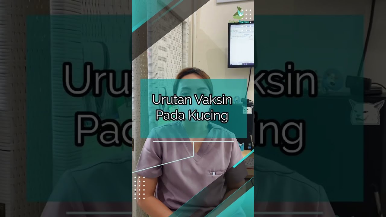 Urutan Vaksin Pada Kucing #vaksinkucing
