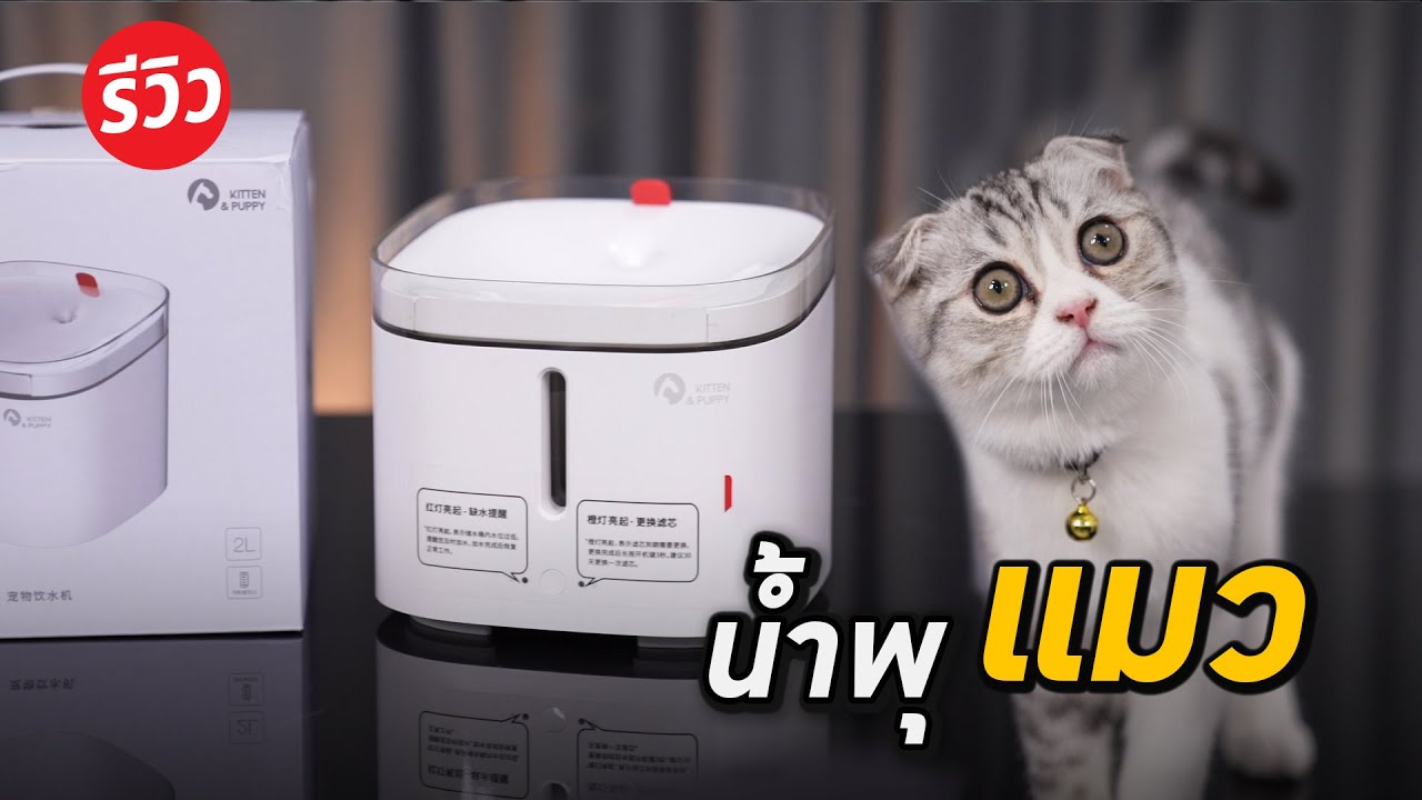 รีวิว น้ำพุแมว ของที่ต้องมีสำหรับทาสแมว