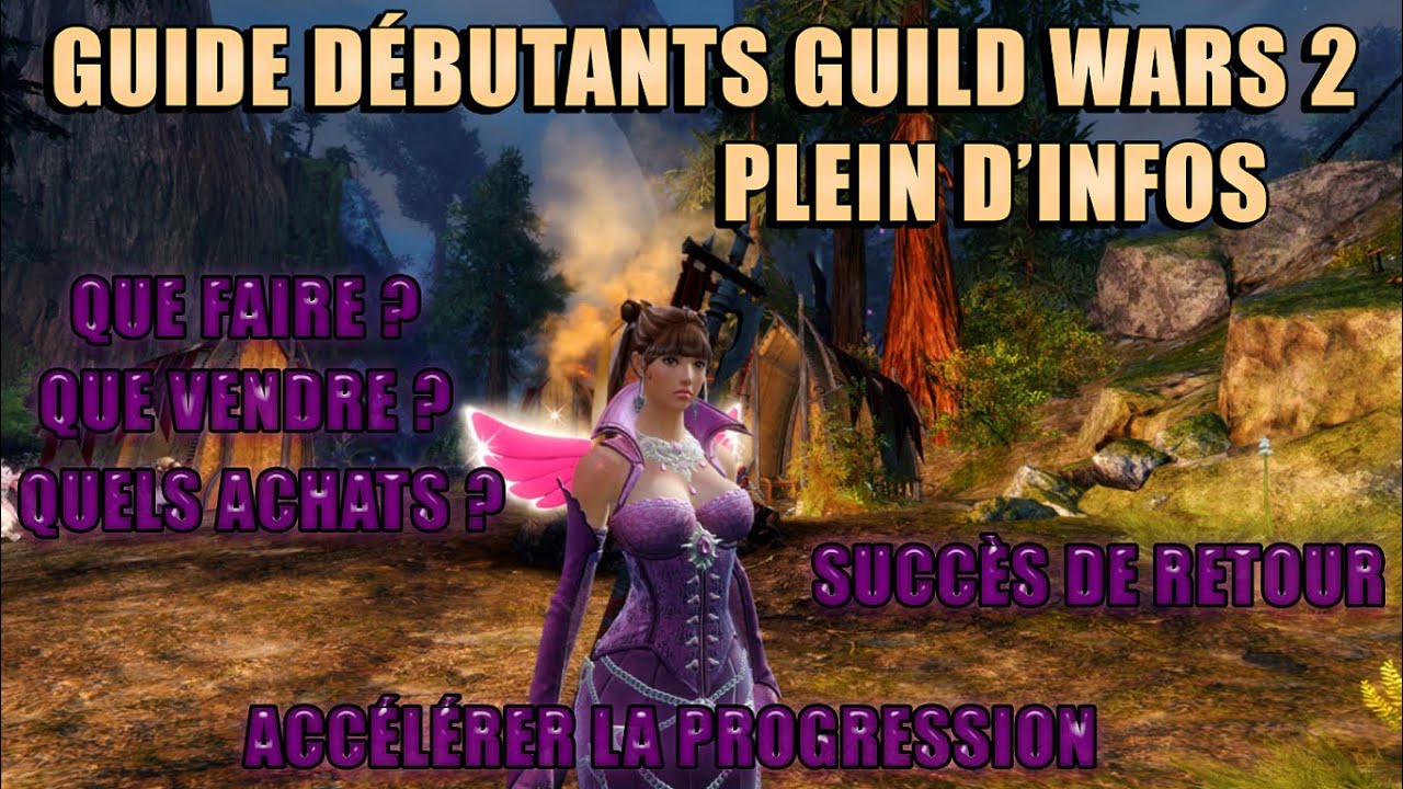 GUIDE et conseils pour débuter sur Guild Wars 2 en 2022 : Succès de retour, gagner des PO, se stuff