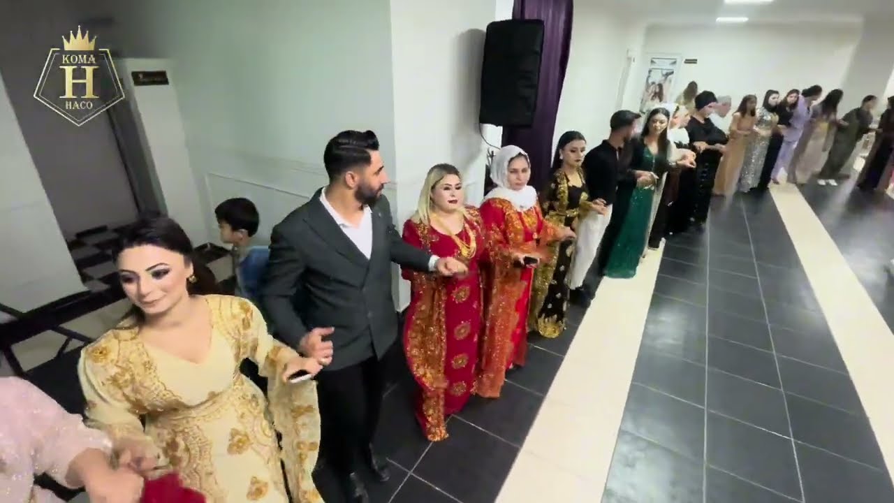 Koma haco  Cizre doğa parkta Dilan & serhat kına part 1