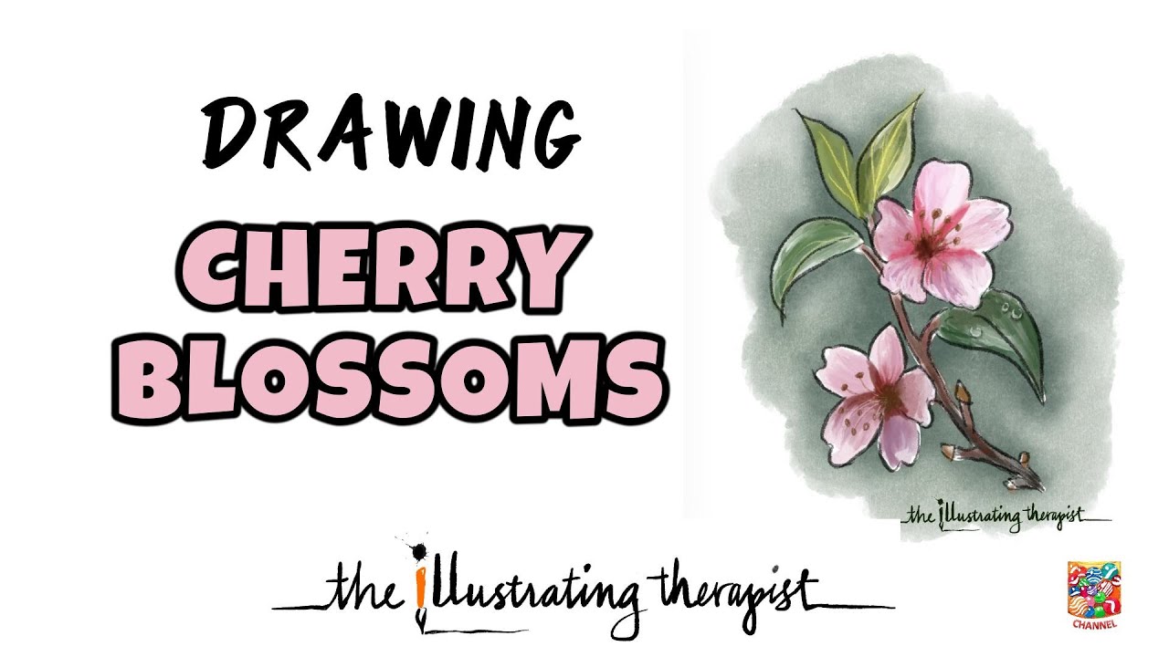 Drawing Cherry Blossoms - The Illustrating Therapist