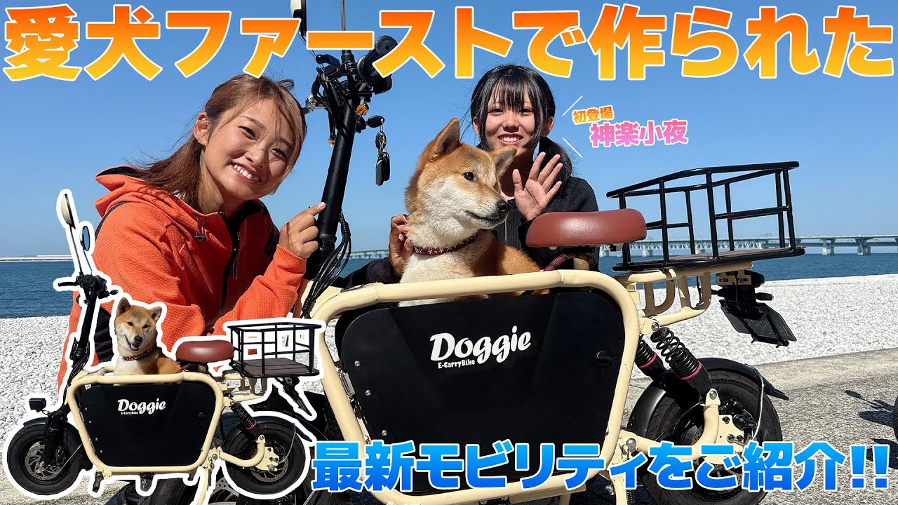 車で運べて愛犬と一緒にツーリングもできる最新モビリティ「Doggie」柴犬まで乗せれます！