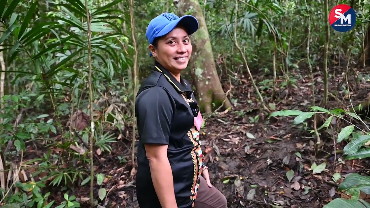 Jom lihat bunga Rafflesia di Tambunan
