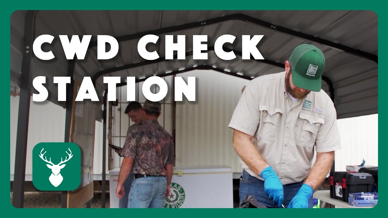 What to Expect at a CWD Check Station