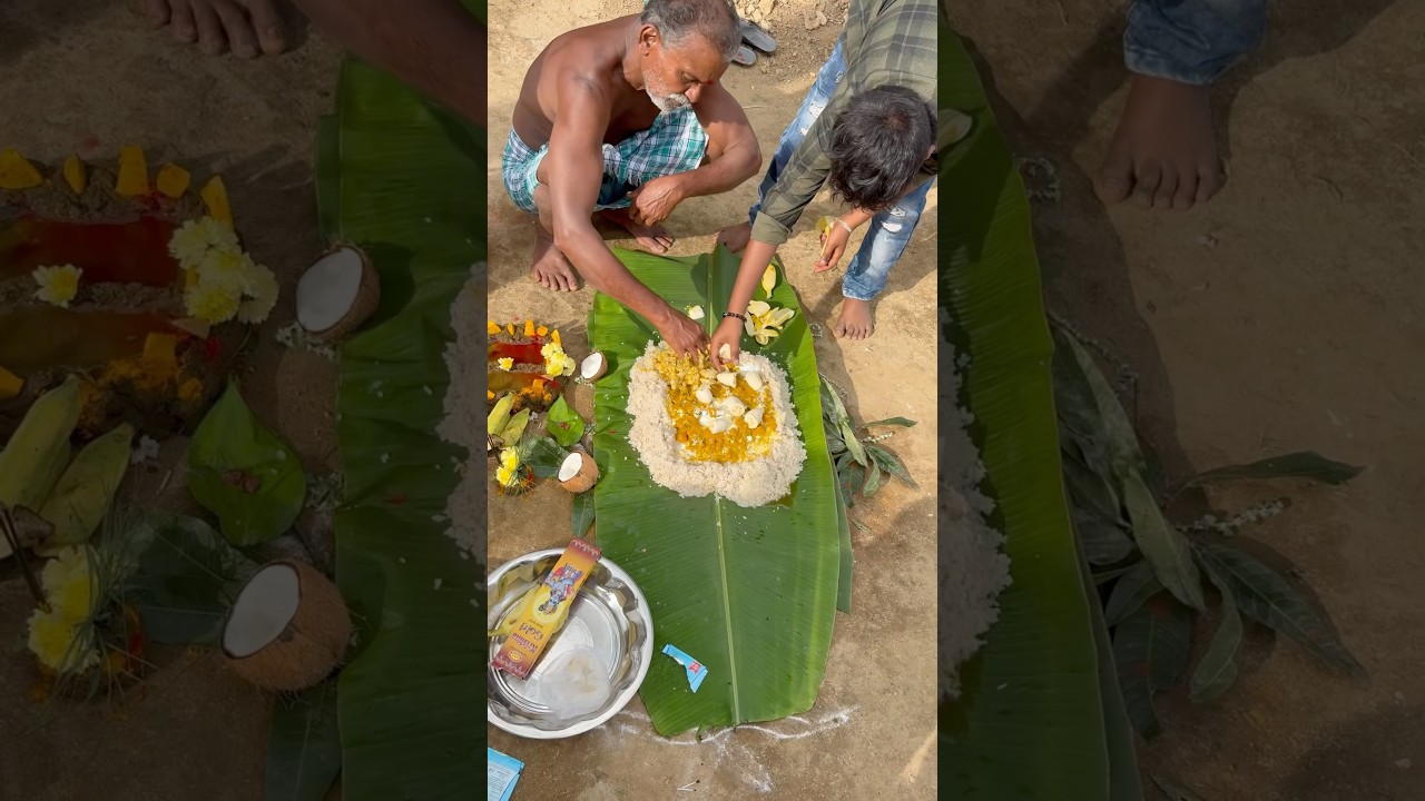 🔥Mattu pongal celebration 💯 #tamil #dharmapuri #tamilnadu #pongal #2025
