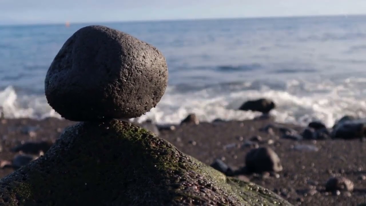 11.4.1 Applying the Balance of Probabilities