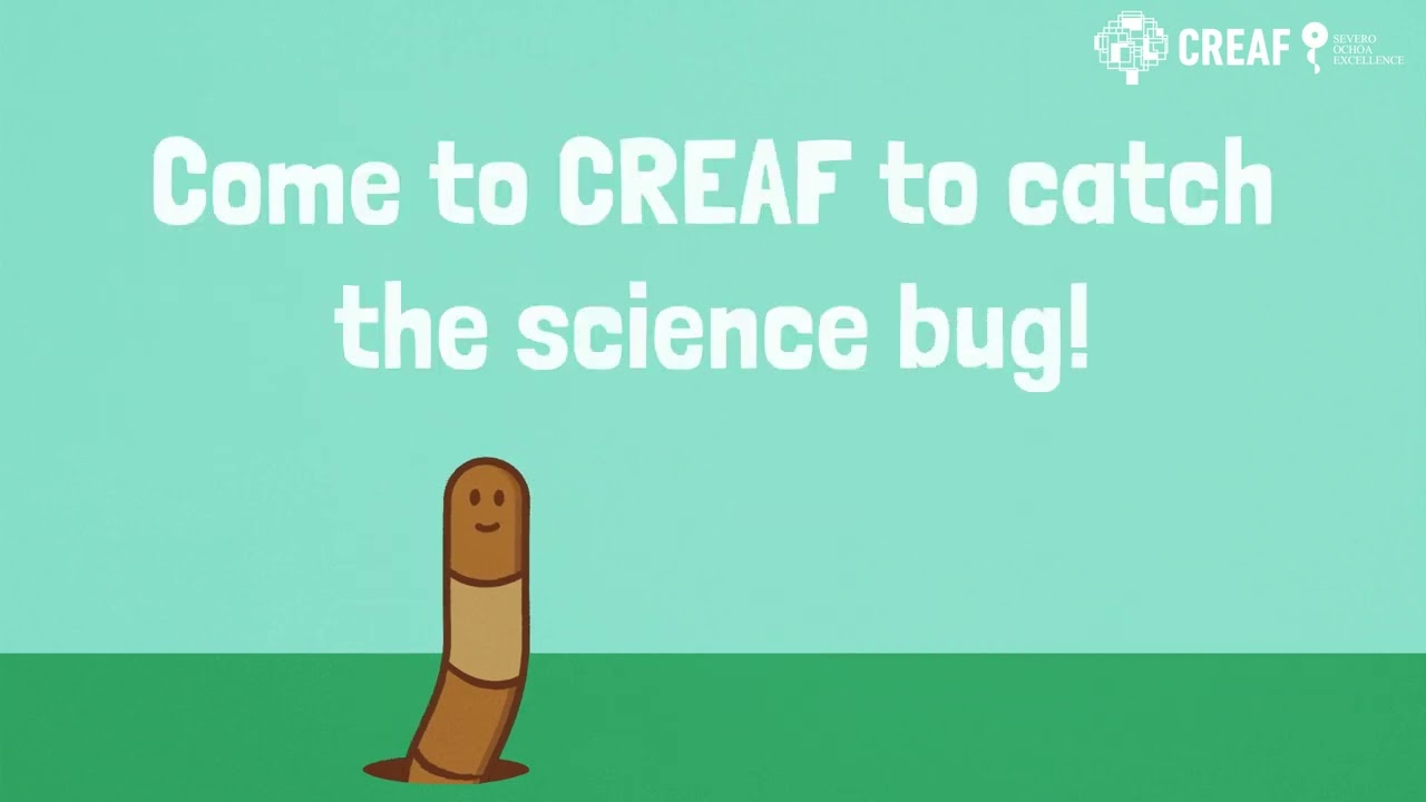 Summer Fellowship Programme #CREAFellow - Come to CREAF to catch the science bug!