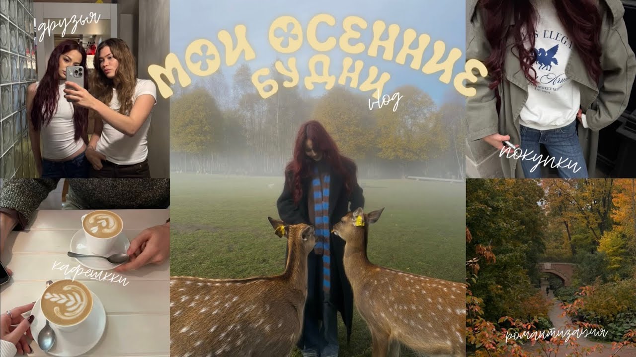 ВЛОГ | МОИ БУДНИ | ПОКУПКИ К ОСЕНИ | ДРУЗЬЯ | РУТИНА 