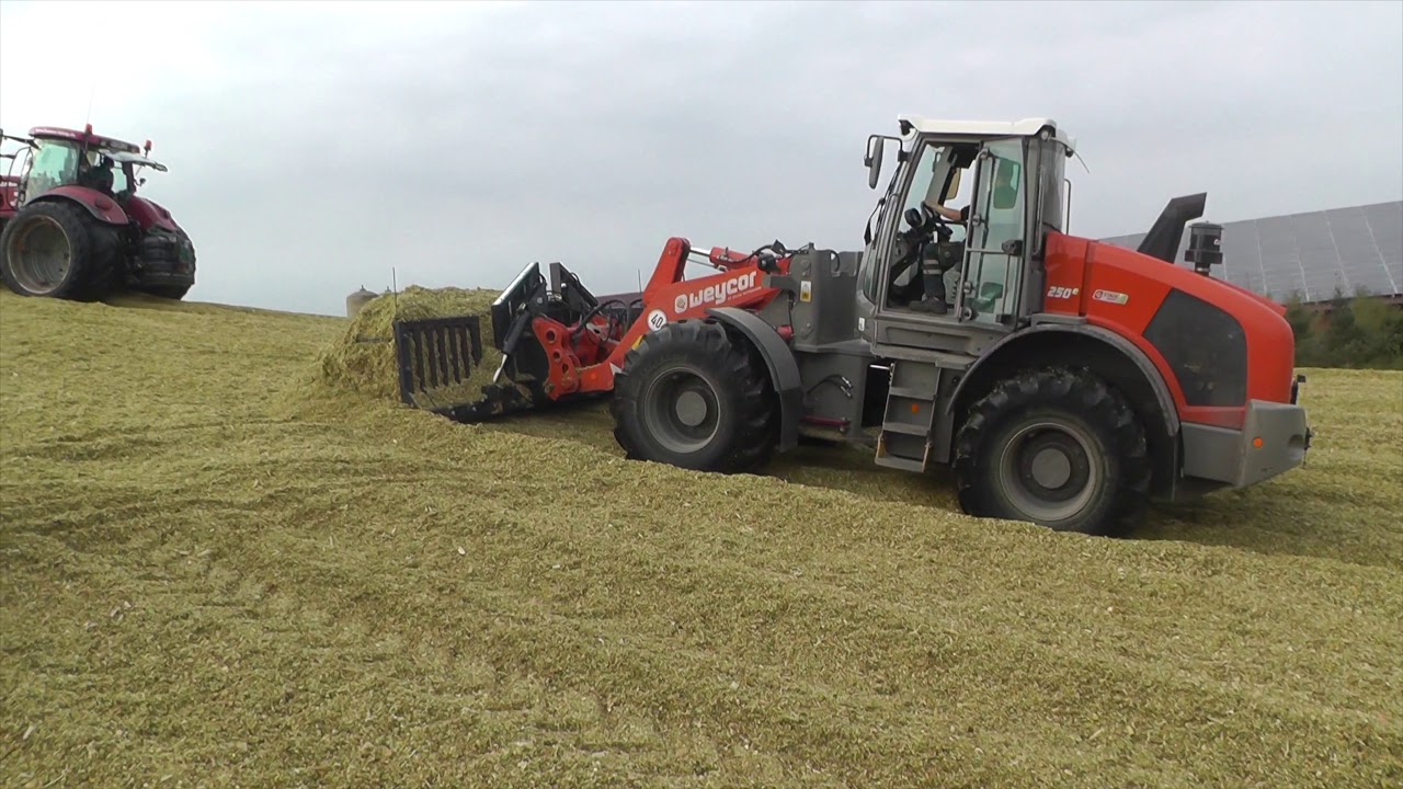 Best Loader Weycor AR250e