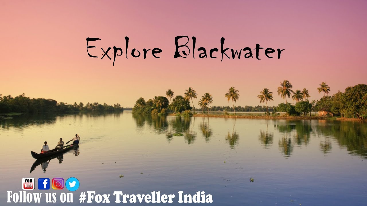 explore blackwaters | Kerala | Fox Traveller India
