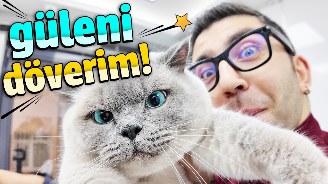 VETERİNER TERCÜMAN OLDUM! (komedi altyazılı 🤣)