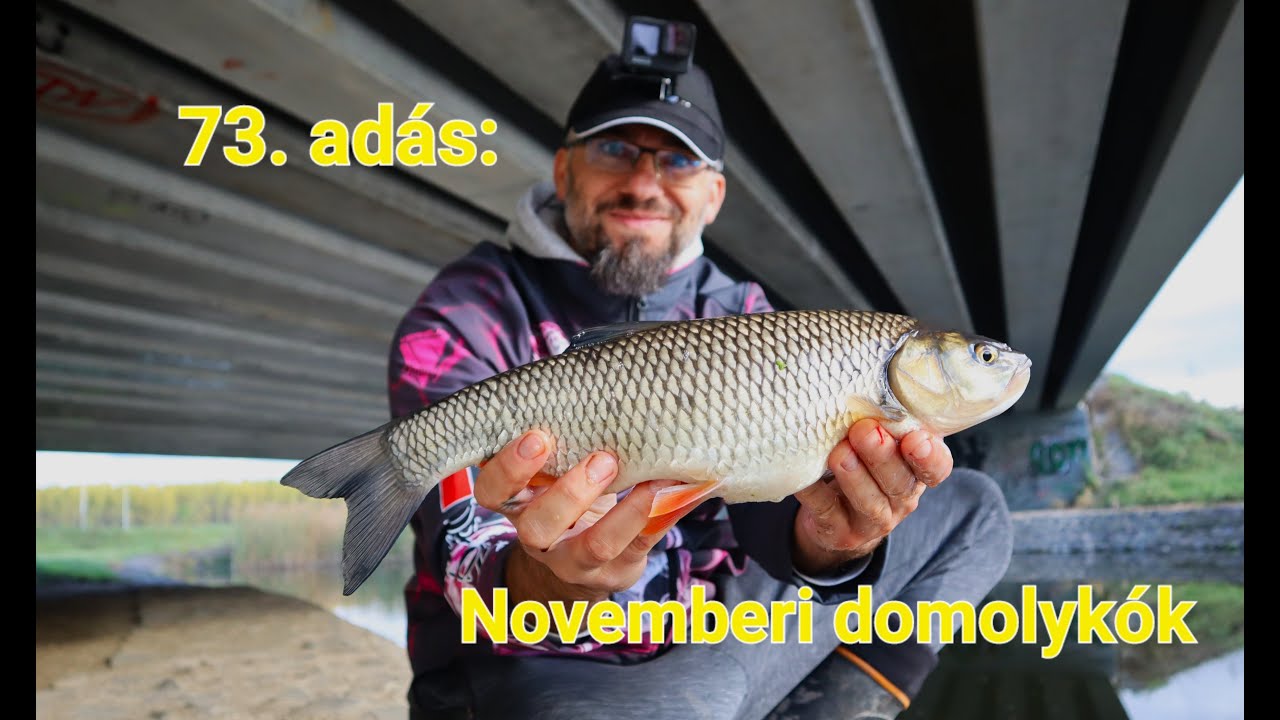 Pergetés Szalai Gáborral - 73. adás: Novemberi domolykók