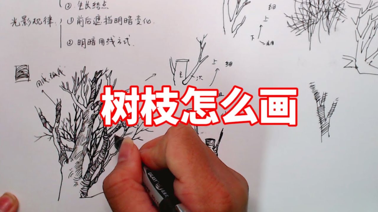 树枝怎么画？钢笔速写教程