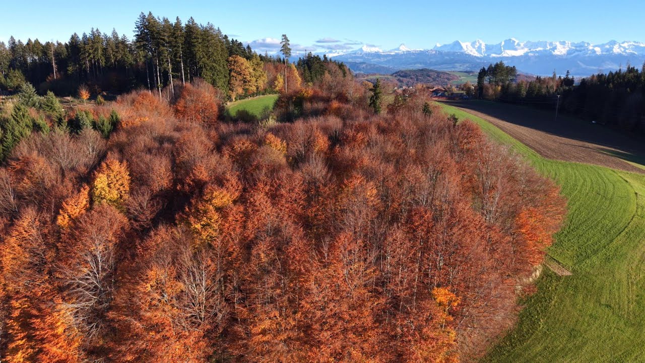 Herbst, Automne, Autmn...