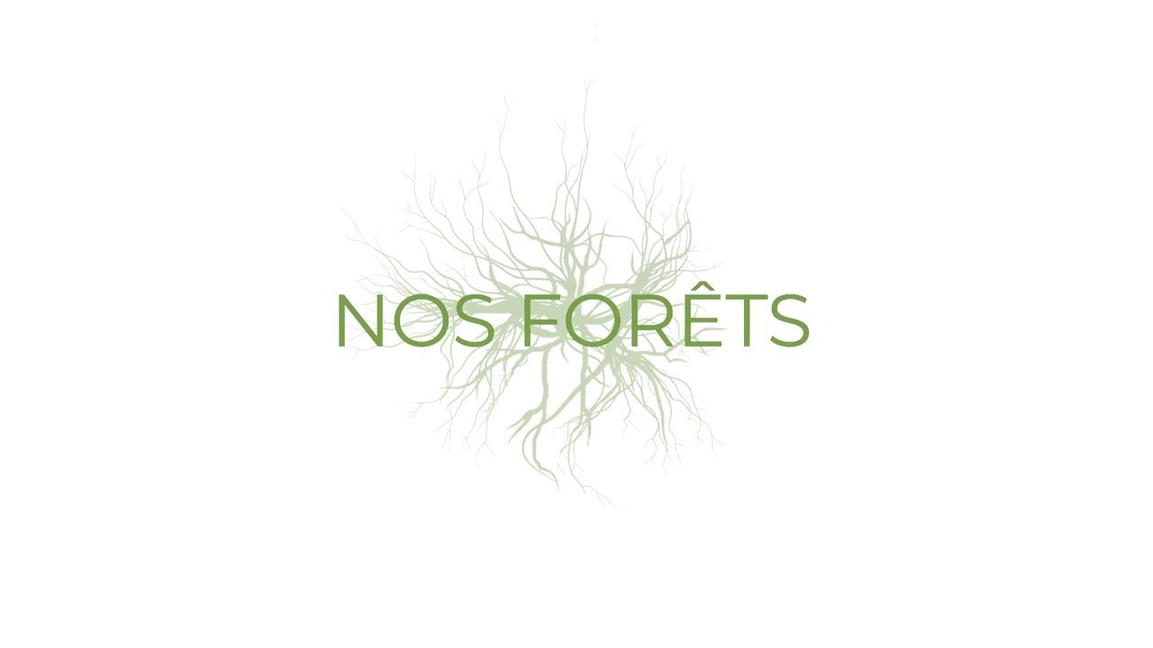 Nos Forêts