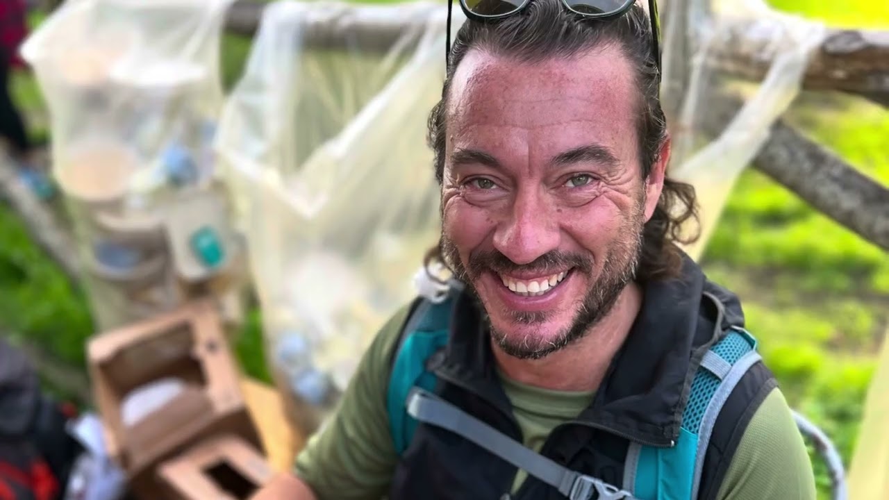 Francigena Ultramarathon Walking 2024