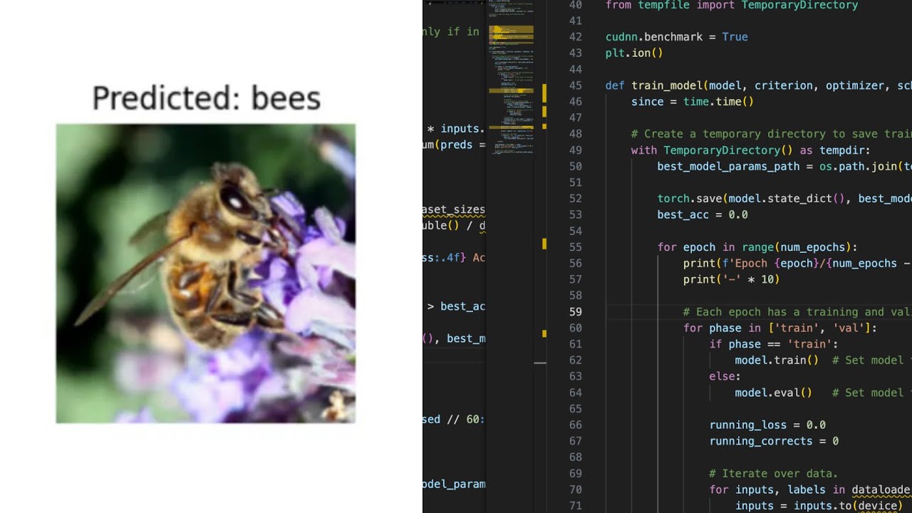 Transfer Learning & Finetuning CNNs in PyTorch