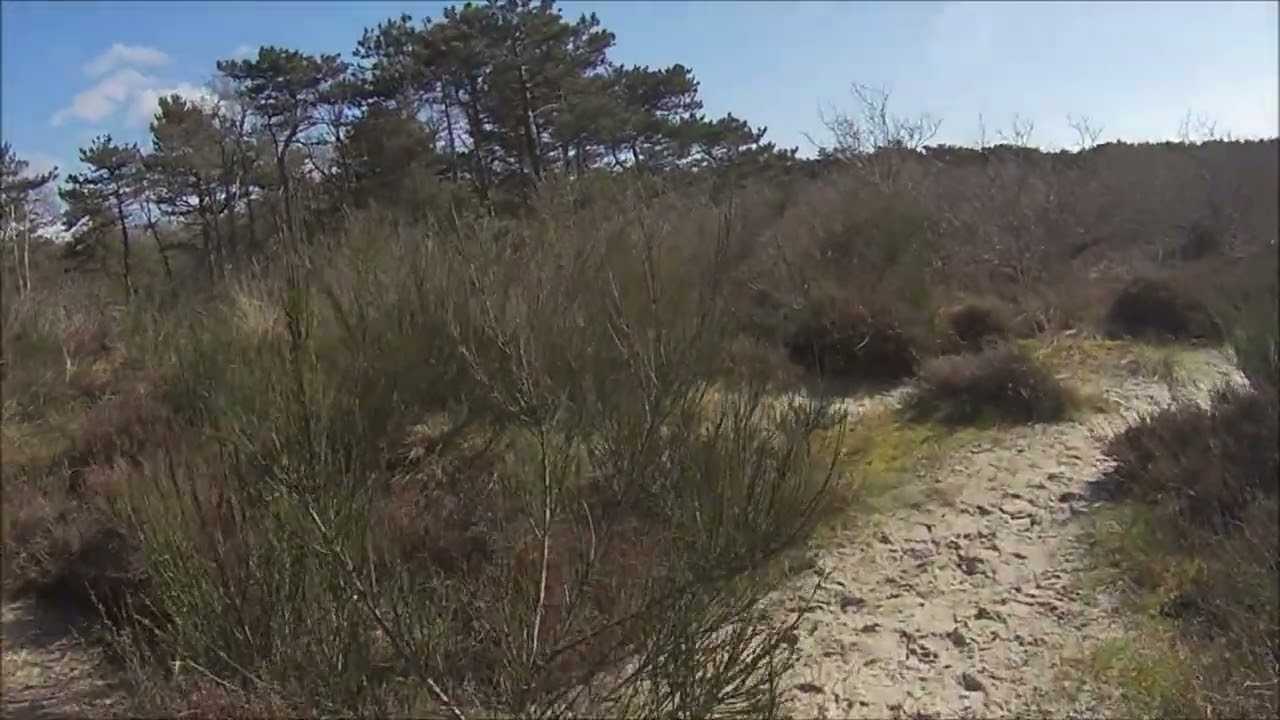 Trailrun Terschelling 2023