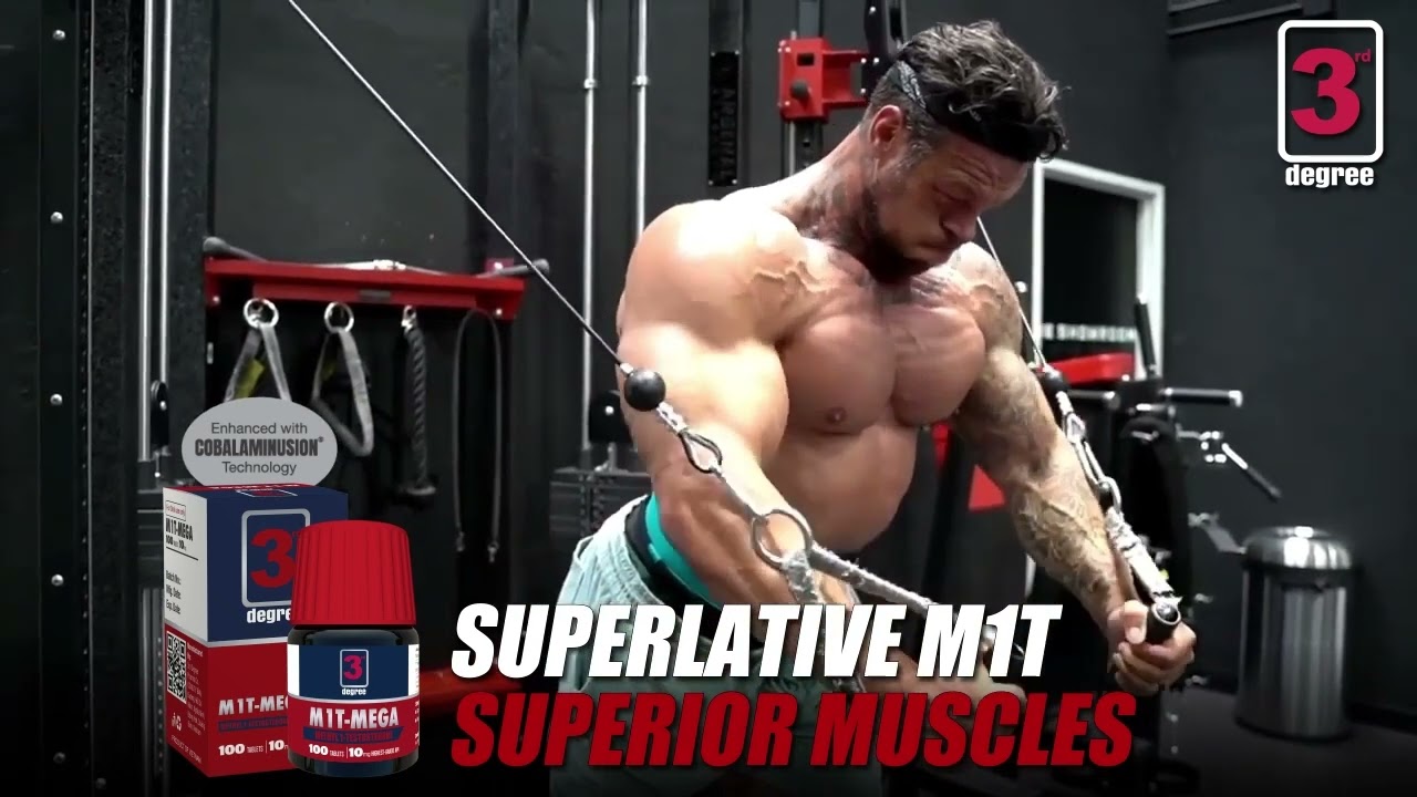 M1T MEGA: Superlative M1T Superior Muscle