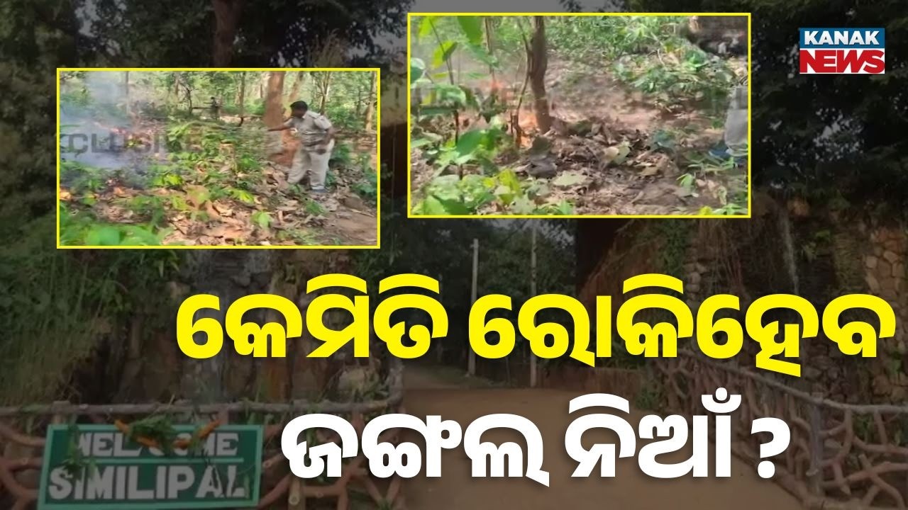 Similipal Gears Up To Prevent Forest Fires Ahead Of Summer | Mock Drill Conducted