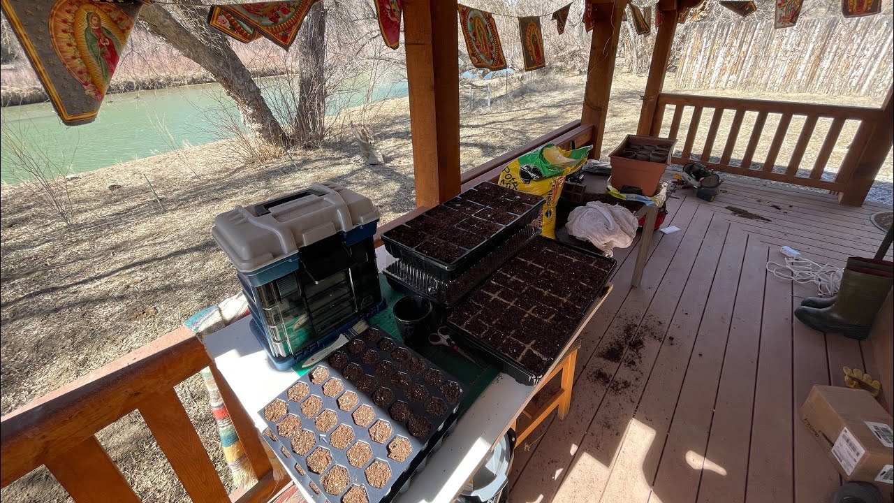 Unplanned trip, gardening website, spring is early this year.